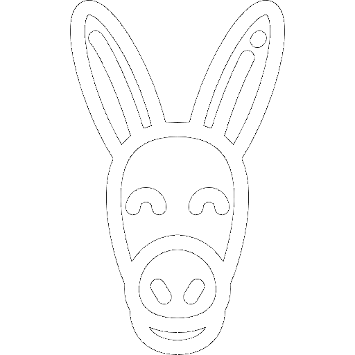 Donkey