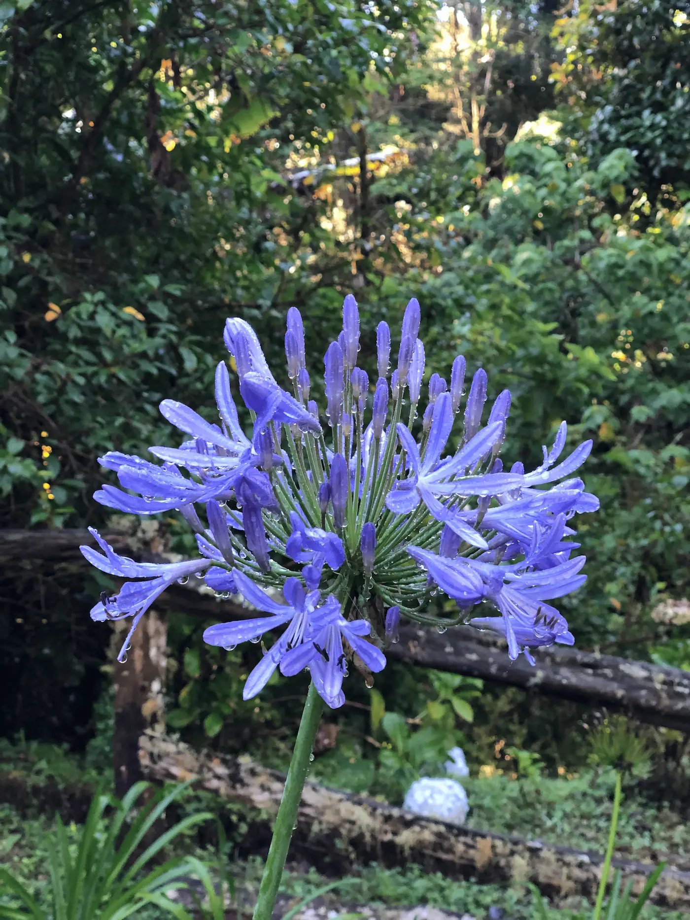Outdoors - Cloud House