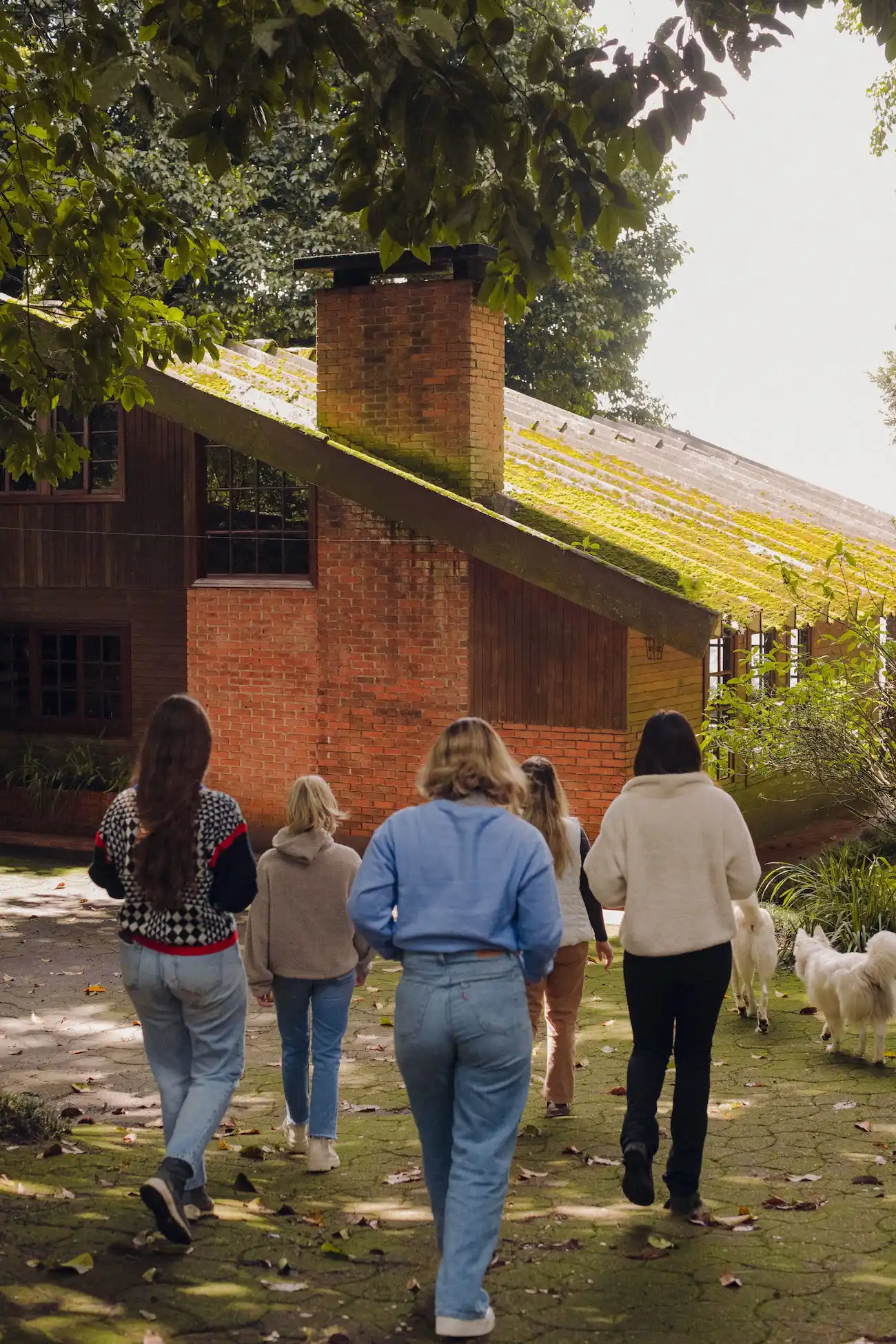 La Cabaña - Imagen 1