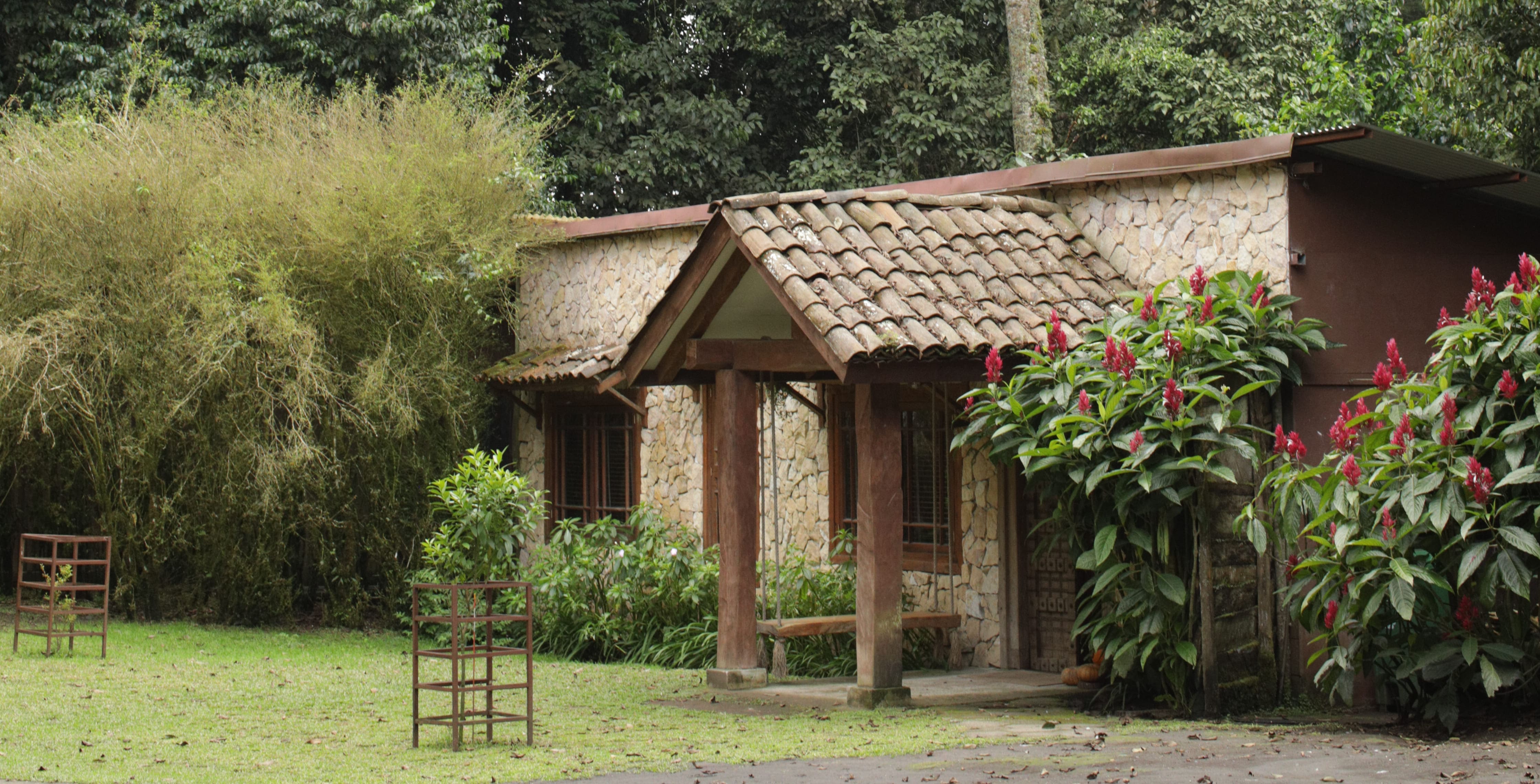Beautiful horizontal view of Cloud House casita cottage in natural forest setting