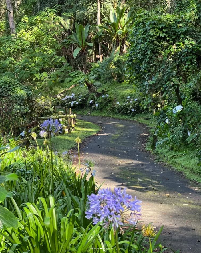 Outdoors experience at Cloud House