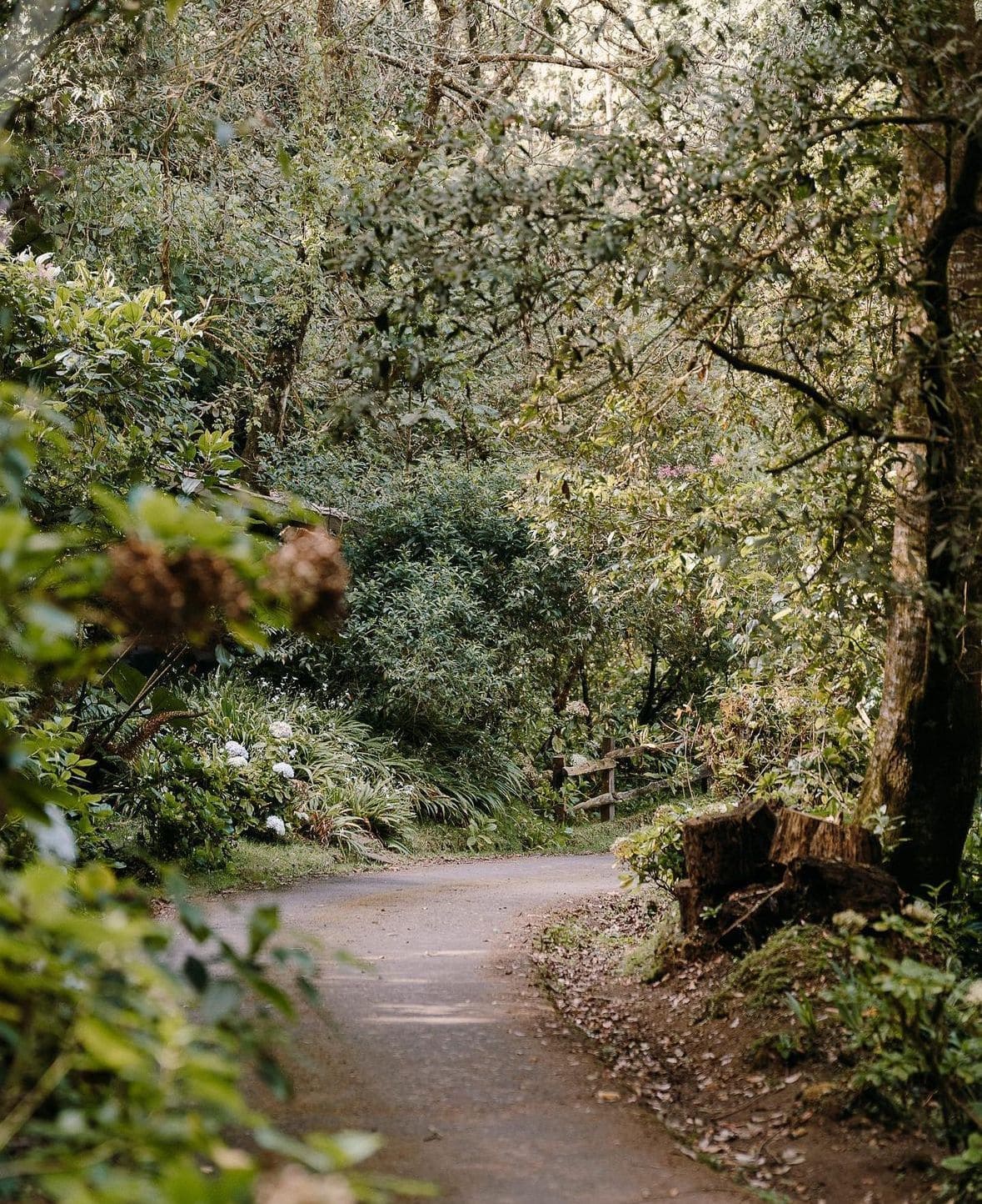 Harmony in Nature